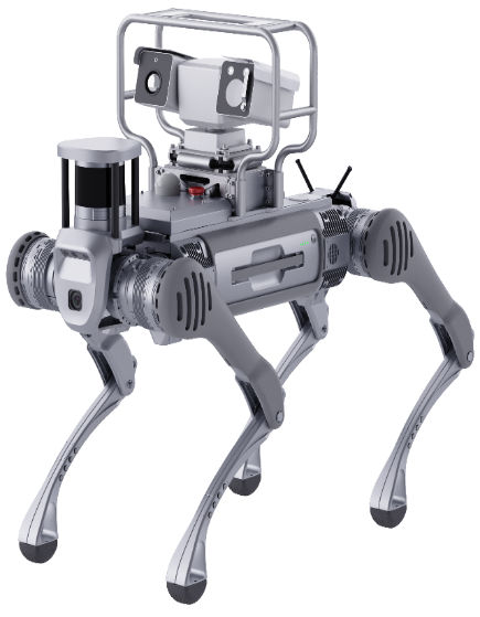 Robot Inspectors